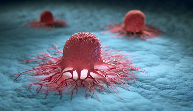 La investigación del cáncer es caótica y compleja: este nuevo marco conceptual busca poner orden