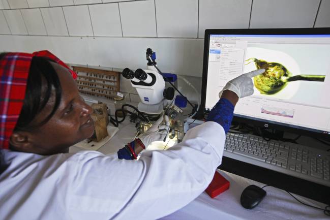 La investigación española apoya a las mujeres científicas de África
