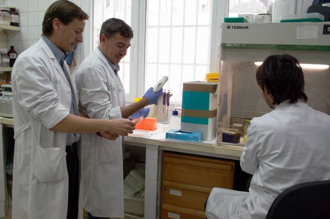 Miembros del grupo de investigación Bioquímica Médica de la US