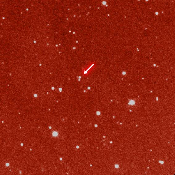 Twin Proto-Brown Dwars in Taurus