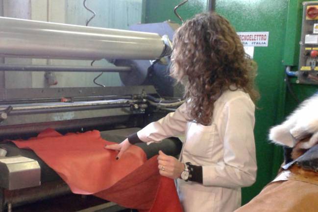 La nanotecnología moderniza el curtido de pieles