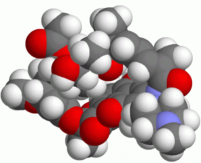 La proteína P55 de la tuberculosis puede reducir el efecto de la rifampicina en el tratamiento de la enfermedad