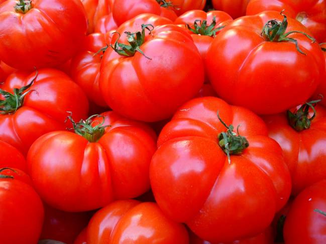 La proteína que ayudó a aumentar cien veces el tamaño de los tomates