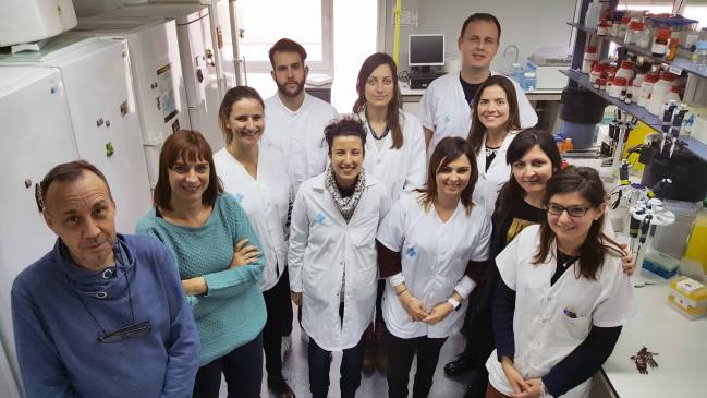 La proteína survivina y su papel en la expansión patológica del tejido adiposo
