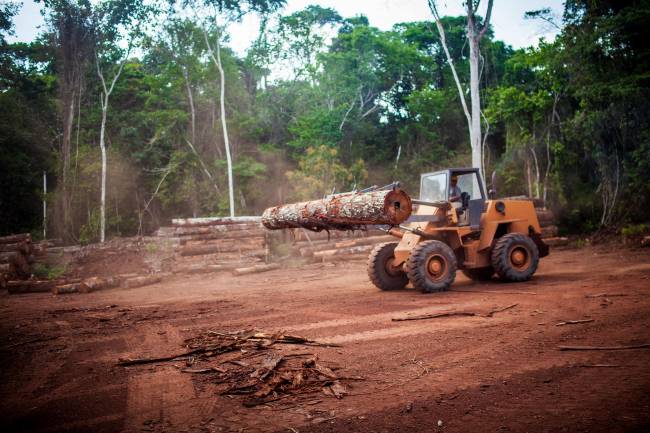 La selva amazónica se acerca a un punto de inflexión crítico