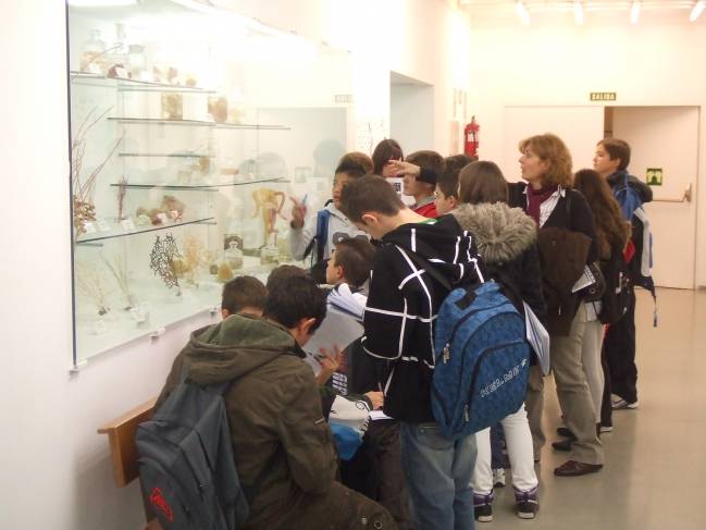 La Semana de la Ciencia cumple diez años