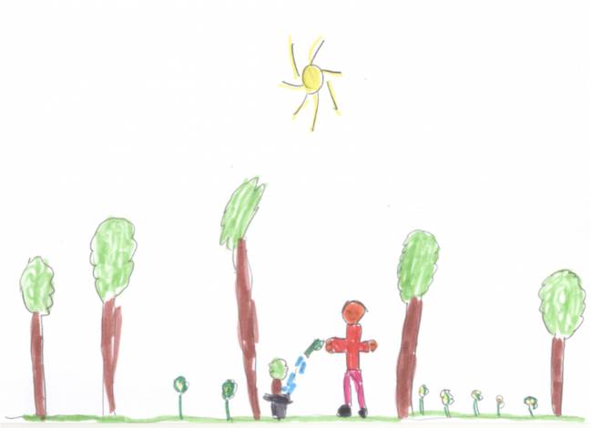 La simetría, un recurso infantil espontáneo para dibujar el mundo vegetal