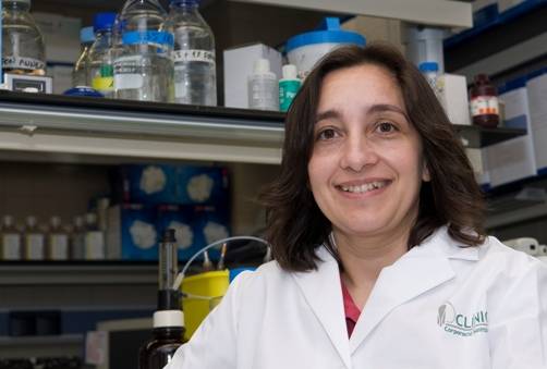 La terapia génica protege a los simios frente a la infección por el virus del sida