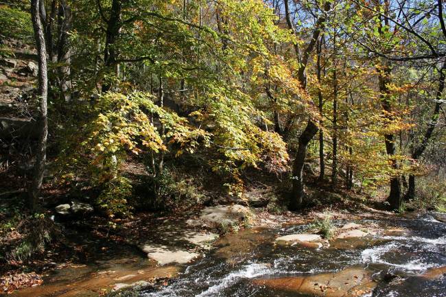 La UNESCO aprueba dos nuevas Reservas de la Biosfera en España