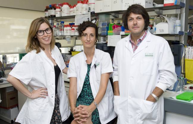 Las alteraciones en algunas neuronas se relacionan con la diabetes de tipo 2