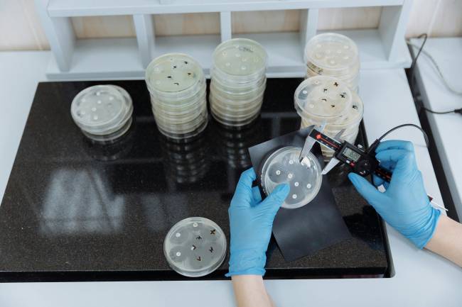 Técnico de laboratorio con una placa de Petri con cultivo bacteriano