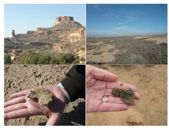 Espacios naturales áridos y muestras de suelo analizadas en la investigación.