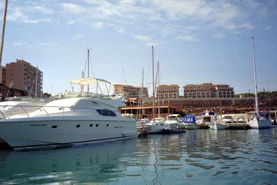 Las comunidades microbianas marinas se adaptan al impacto humano en las costas de Mallorca