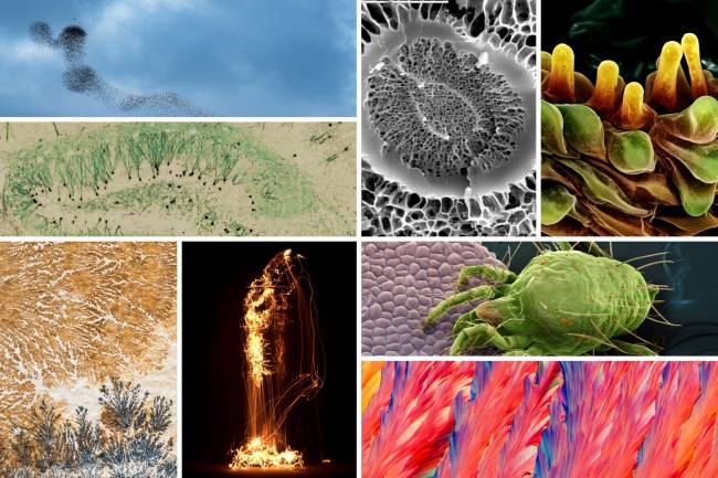 Las mejores imágenes científicas de 2022 según FOTCIENCIA 