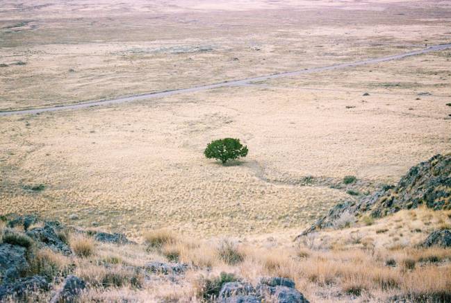 paisaje árido