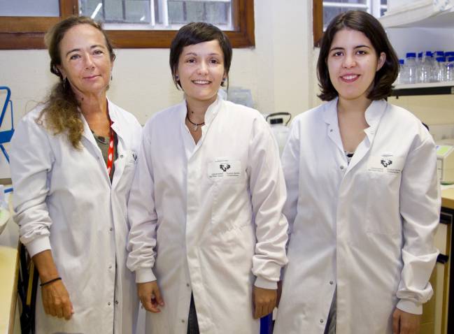 investigadoras