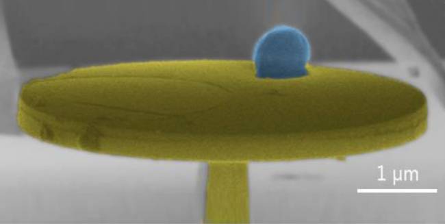Las vibraciones de los microorganismos pueden servir para identificarlos