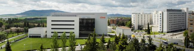 Lideran un estudio para buscar terapias personalizadas en cáncer de pulmón