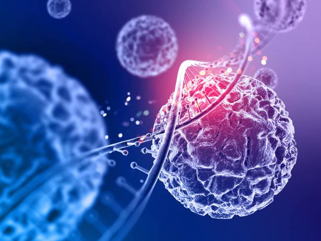 edición genética, CRISPR