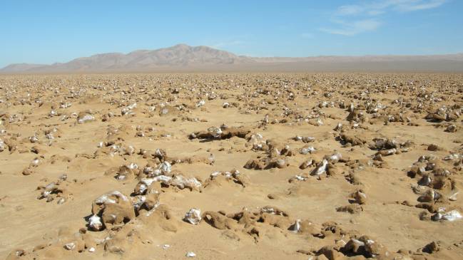 Los desiertos permiten investigar los límites de la vida en el planeta