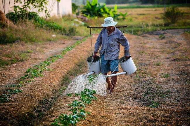 Los hombres de países ricos son cada vez más altos por la dieta rica en nitrógeno y fósforo