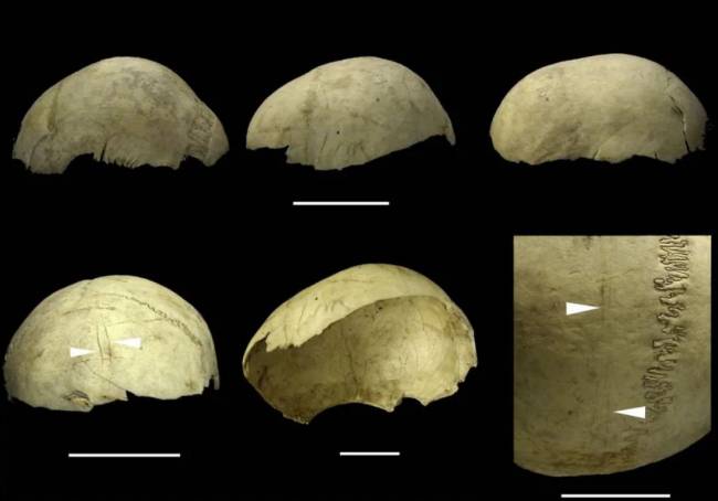 Los humanos fabricaron cráneos copa hasta hace 4.000 años