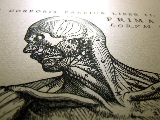 Los manuales médicos muestran el cuerpo del hombre blanco heterosexual como un “modelo universal” 