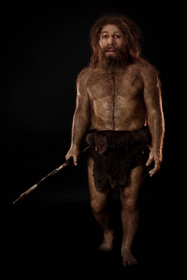 Los neandertales usaban palillos para calmar el dolor de algunas enfermedades bucales