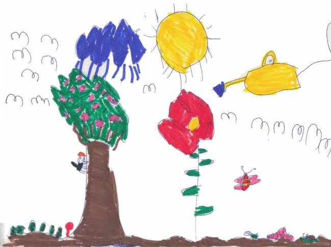Los niños y niñas entienden antes de los ocho años la relación entre animales y plantas