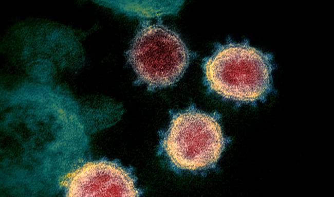 Los pacientes de Wuhan revelan los factores de riesgo de morir por coronavirus 