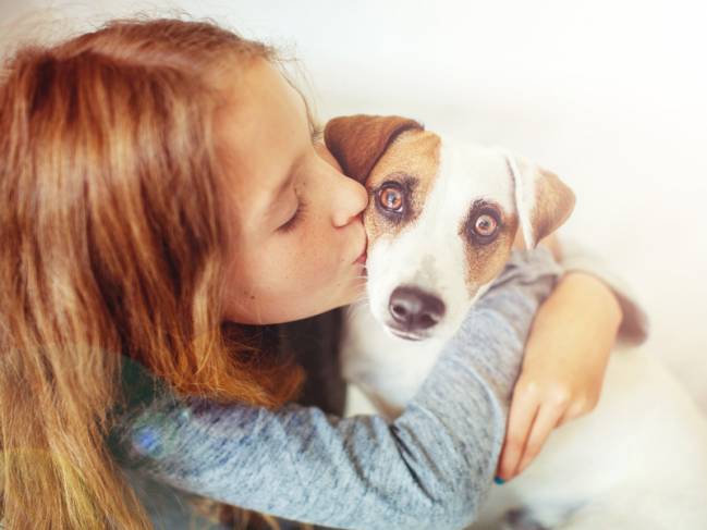 Los perros usan expresiones faciales para comunicarse con los humanos