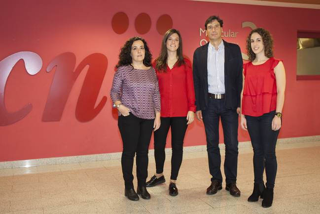 Los tejidos dañados activan la reprogramación de las células vecinas