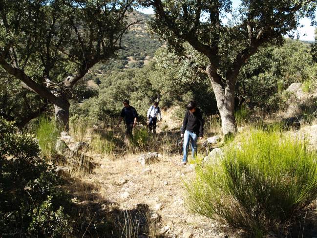 Los vetones vivieron en Ávila en el Paleolítico