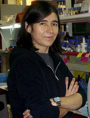 Maria Blasco, Premio Fundación Lilly de Investigación Preclínica 2010