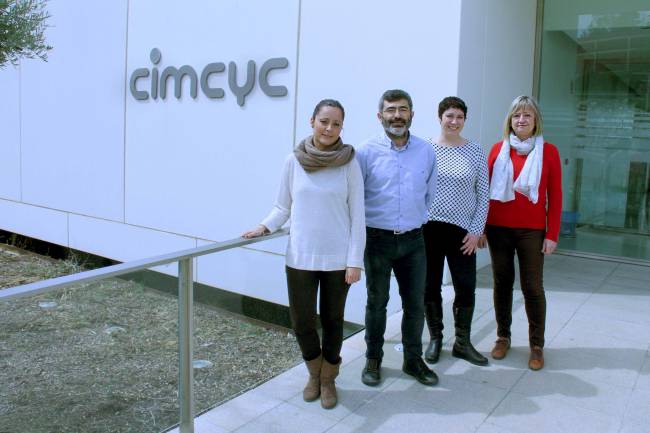 Los investigadores de la UGR que han llevado a cabo esta investigación. 