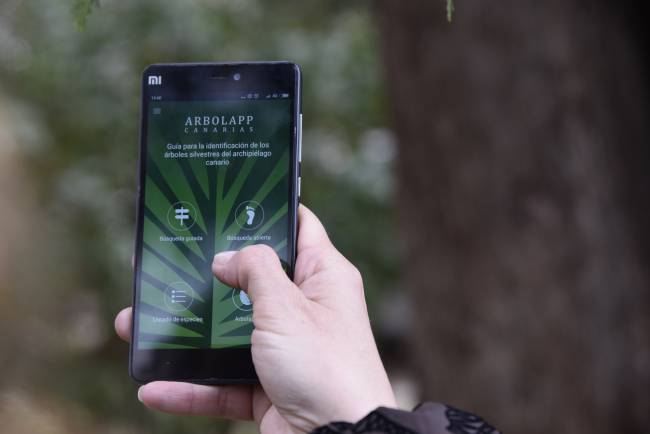 Nace Arbolapp Canarias, una app gratuita para identificar los árboles de las islas