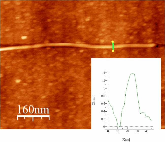 Nanotubos de carbono, un ejemplo claro de la revolución “nano”
