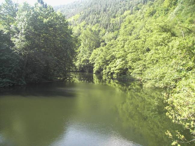 Navarra lidera un proyecto europeo para mejorar los ríos Bidasoa y Urumea