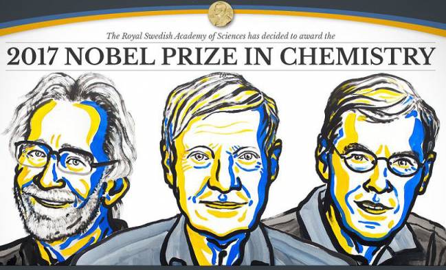 Nobel de Química para los científicos que retratan las moléculas de la vida
