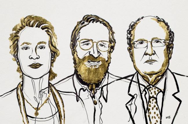 Nobel de Química para los ‘directores’ de la evolución proteica