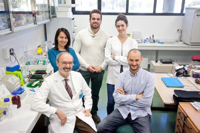 Nueva diana terapéutica para prevenir infartos en pacientes sanos