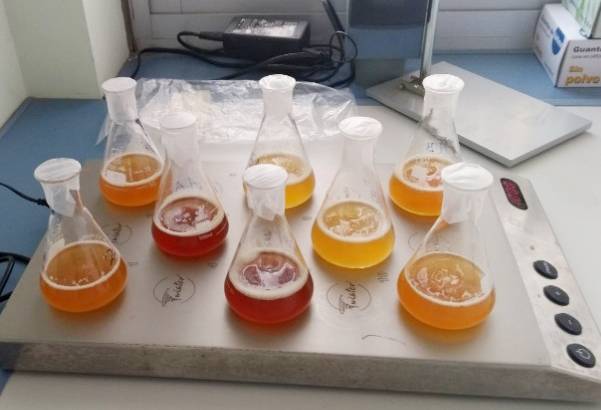 Nueva técnica para analizar los compuestos olorosos de la cerveza