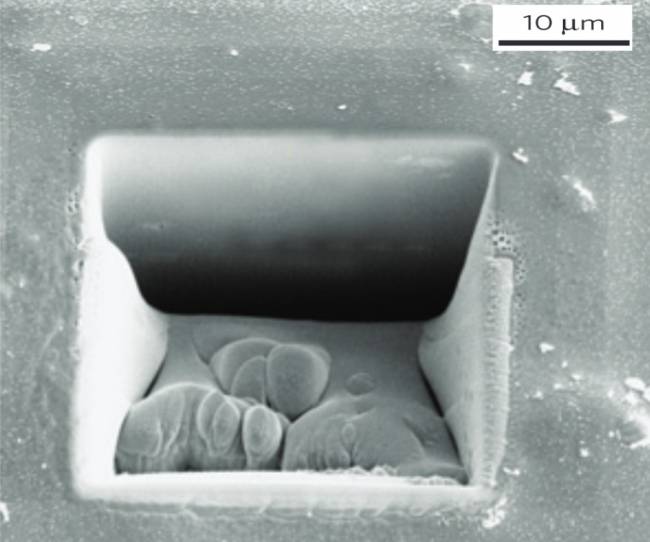 Nueva tecnología para la separación de gases mediante membranas 