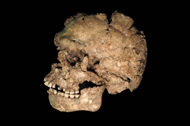 Nuevas claves sobre salud, violencia y comportamiento funerario en los primeros ‘Homo sapiens’