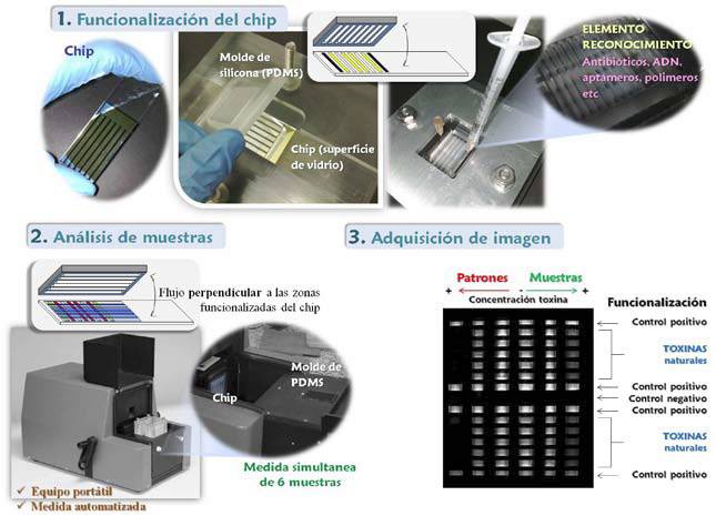 El biosensor óptico sirve para analizar en aguas dulces las microcistinas. Imagen: Jeremydeades