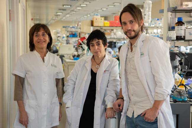 investigadores CIBERDEM-IDIBAPS