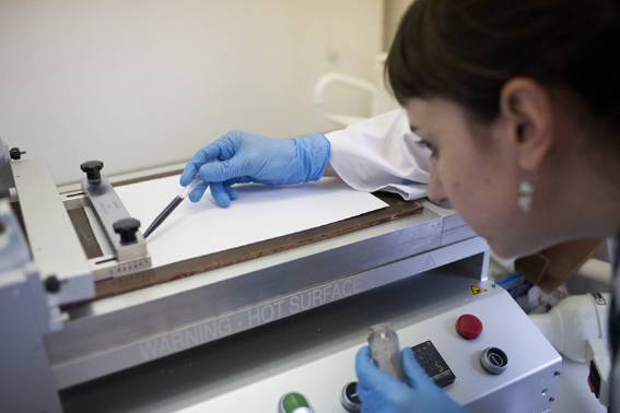 Nuevos envases inteligentes informarán sobre el mantenimiento de la cadena de frío en alimentos frescos