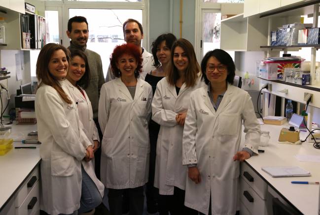 Equipo de investigación