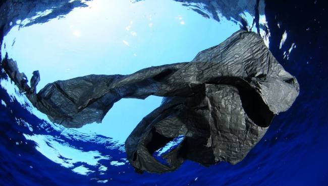 Plásticos a la deriva en las profundidades marinas de toda Europa
