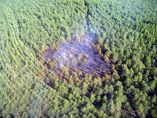 Predecir las tormentas ayudaría a reducir los incendios en Castilla y León